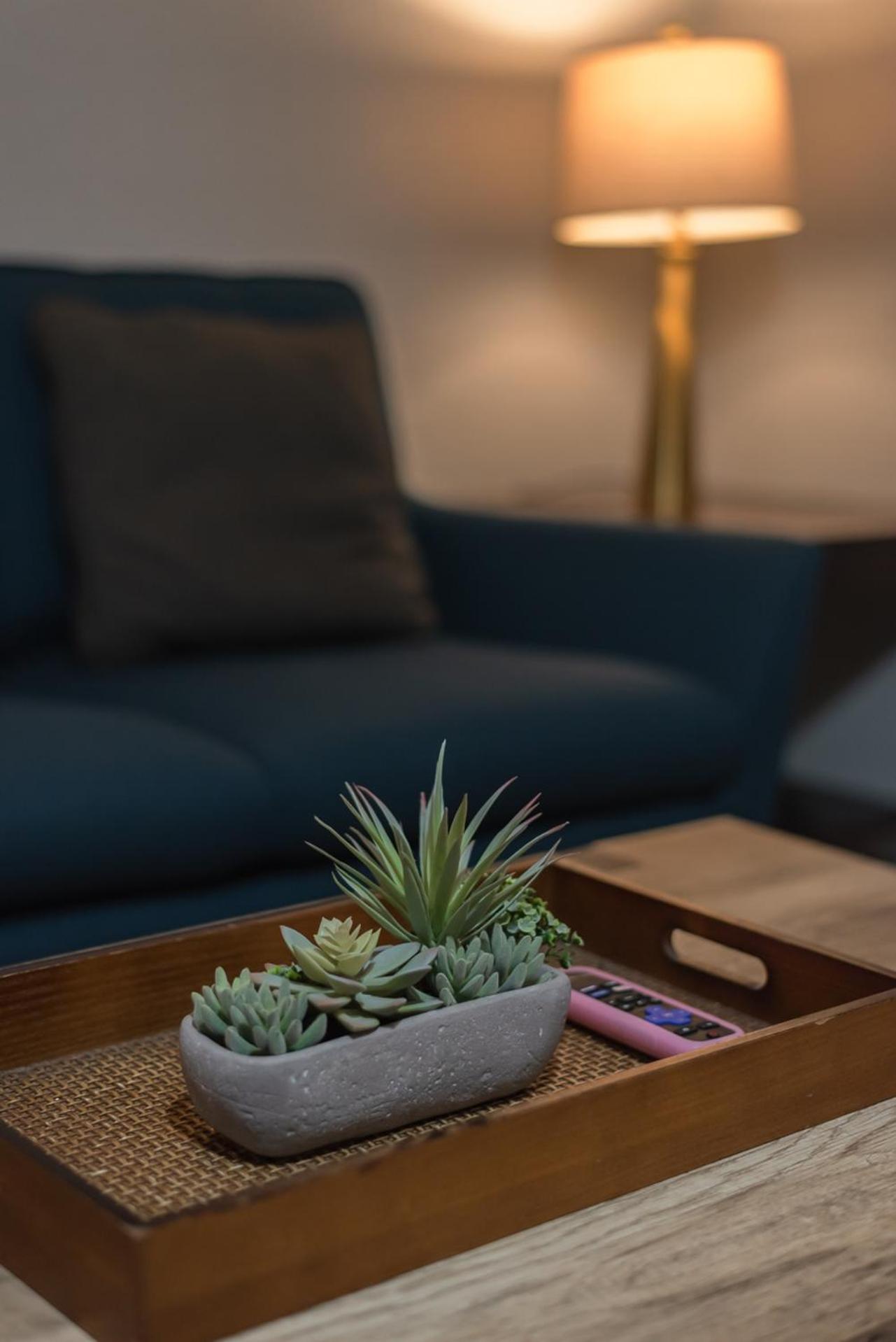 Beautiful Apartment At The Botanical Gardens #1 San Antonio Esterno foto