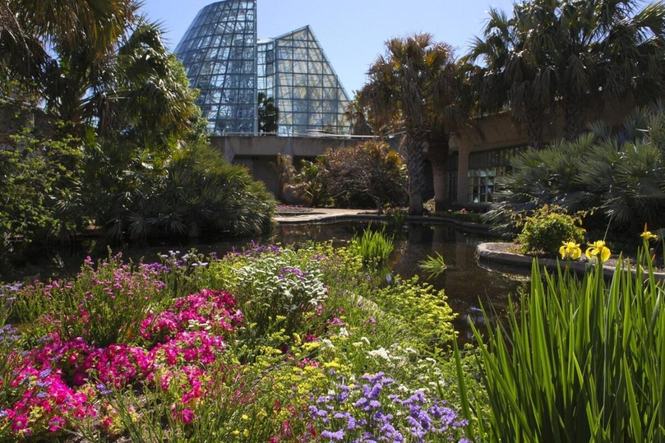 Beautiful Apartment At The Botanical Gardens #1 San Antonio Esterno foto